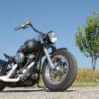 Stile Italiano
Special by stile italiano
Marca: Harley Davidson
Modello: Heritage 1340 "Look back in anger" - 2009

Foto-1