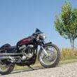 Stile Italiano
Special by stile italiano
Marca: Harley Davidson
Modello: XL1200 Cafe