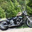 Stile Italiano
Special by stile italiano
Marca: Harley Davidson
Modello: 1340 "Rust 
Prezzo: VENDUTA
Foto-1