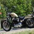 Stile Italiano
Special by stile italiano
Marca: Harley Davidson
Modello: 1340 "Rust 
Prezzo: VENDUTA
Foto-4