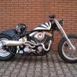 Stile Italiano
Special by stile italiano
Marca: Harley Davidson
Modello: Shogun 1340 
Prezzo: VENDUTA
Foto-1