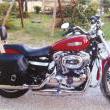 Stile Italiano
Special by stile italiano
Marca: Harley Davidson
Modello: XL 1200 Special
Prezzo: SU COMMISSIONE
Foto-3