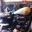 Stile Italiano
Special by stile italiano
Marca: Harley Davidson
Modello: XL 1200 Special
Prezzo: SU COMMISSIONE
Foto-4